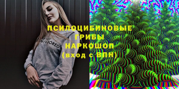 спиды Магас