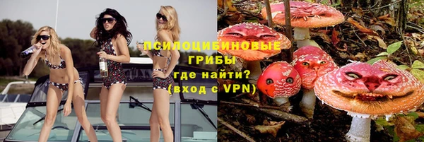 прущий лед Липки