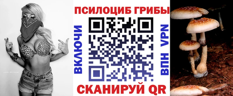 даркнет официальный сайт Донской Галлюциногенные грибы ЛСД