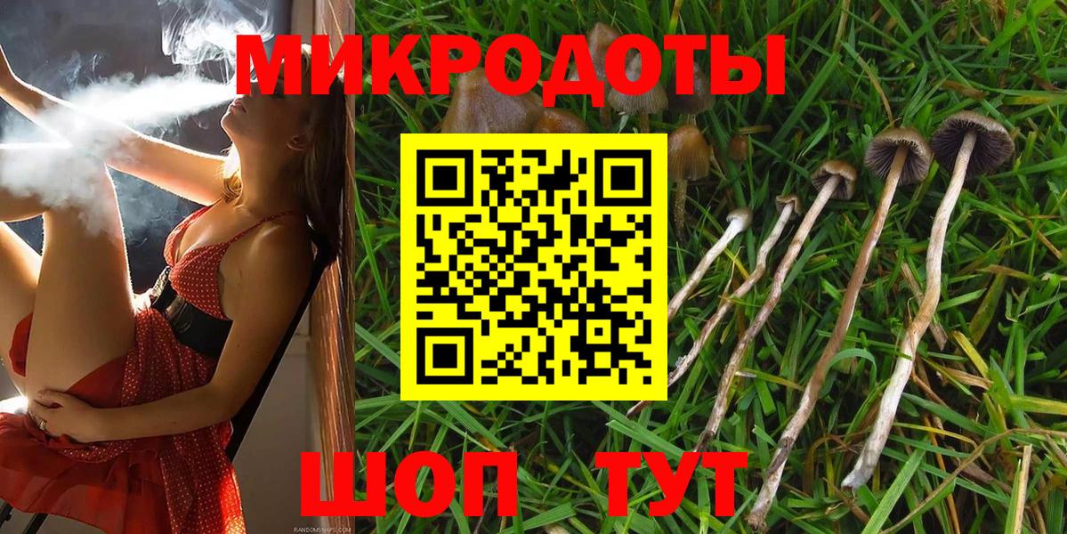 Галлюциногенные грибы Psilocybine cubensis Донской