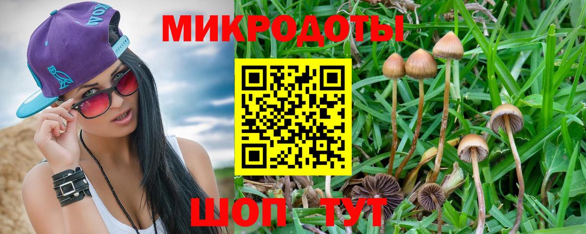 Галлюциногенные грибы ЛСД  Галлюциногенные грибы мицелий  Донской  Вход с VPN 