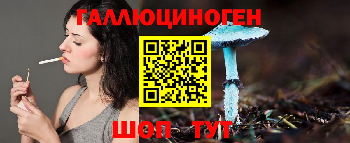 Псилоцибиновые грибы Cubensis Донской