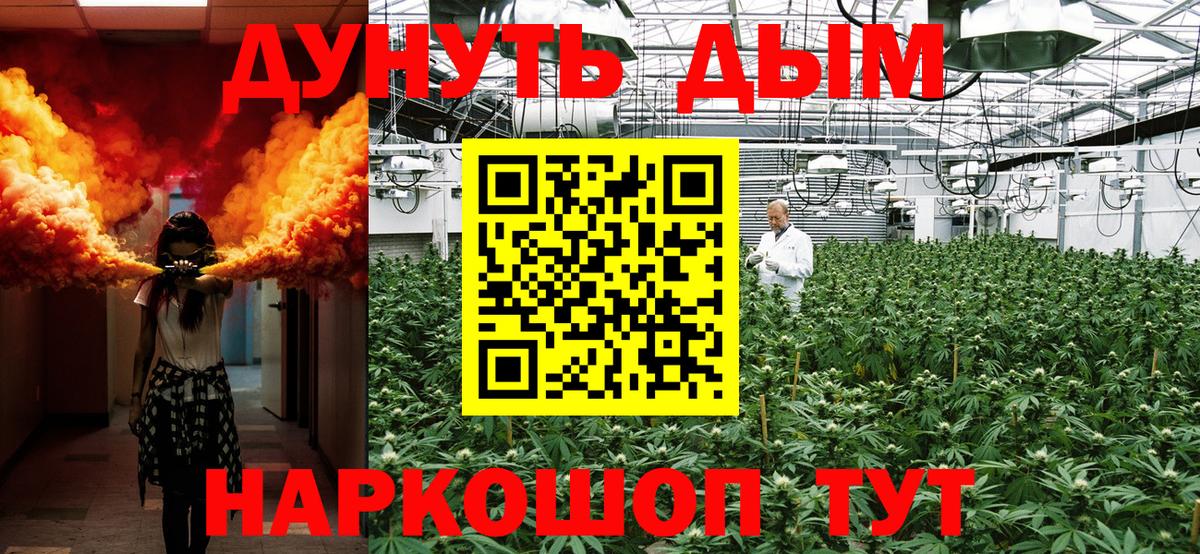 Бошки Шишки марихуана  Канабис семена  Донской  Вход с VPN  Бошки марихуана OG Kush 